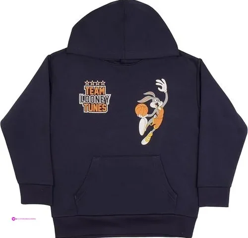Warner Bros Hoodies Clip Coupon