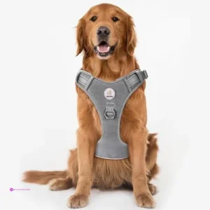 Hipubby Dog Harness Large Code Xjmarx…