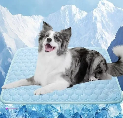 Cooling Mats For Pets Clip Coupon