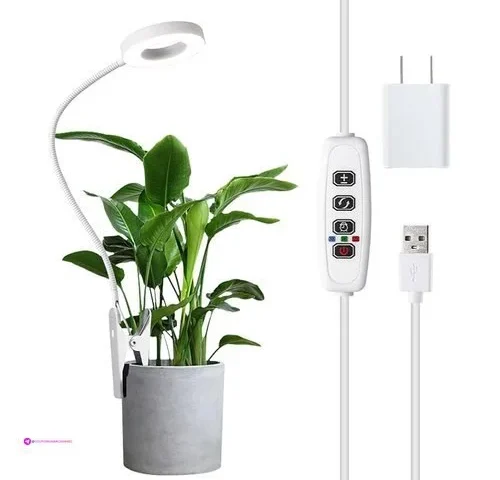 Rwntao Grow Light Rings Clip Coupon