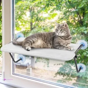 Cat Window Perches Code Pst9yvh4