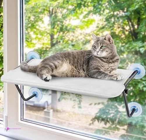 Cat Window Perches Code Pst9yvh4