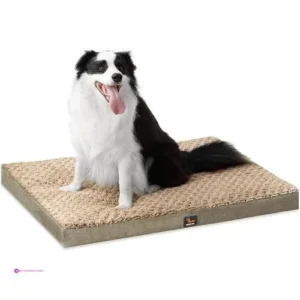 Orthopedic Dog Beds Code R6ydthn9