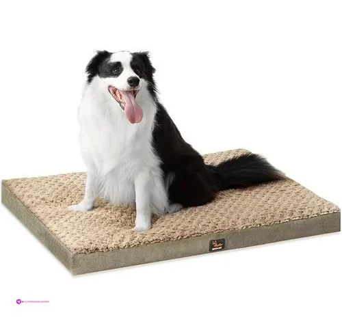 Orthopedic Dog Beds Code R6ydthn9