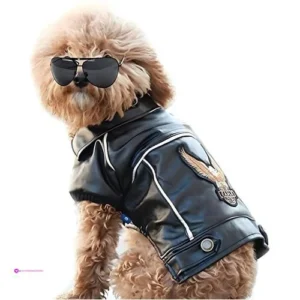 Niula Dog Leather Jackets Code Tqaups…