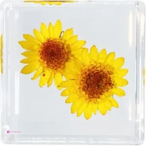 Bon Cube Paperweights Code 9c9sk9gf
