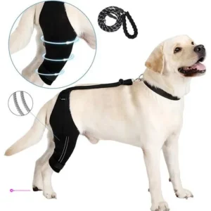 Noillow Dog Knee Braces Clip Coupon