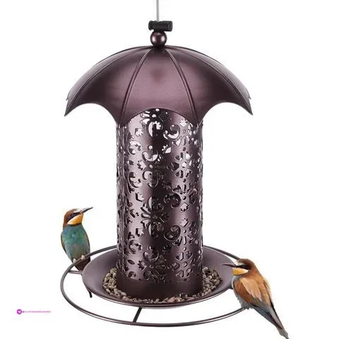 Metal Bird Feeders Clip Coupon
