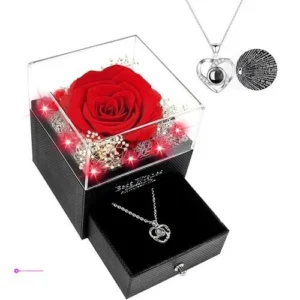 Rosa Preservada Con Collares Clip Cou…