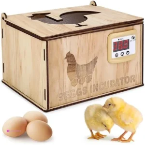 Ftabernam Mini Egg Incubators Code 5n…