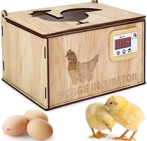 Ftabernam Mini Egg Incubators Code 5n…