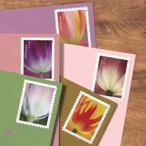 Uspsto Tulip Flowers Code Eb8za3sr