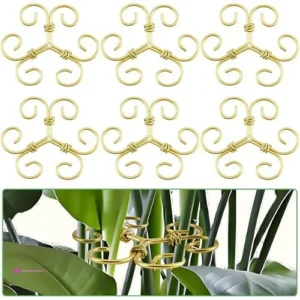 Plant Stem Supports Code P398ujjq