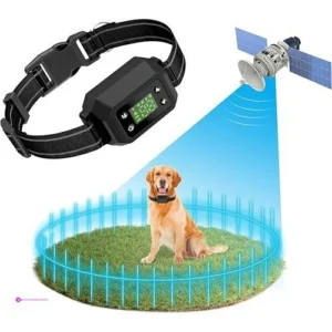 Petfenone Gps Dog Fences Code Fpjve4p…