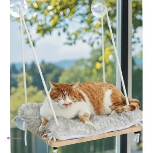Foldable Cat Window Perches Code Oawz…
