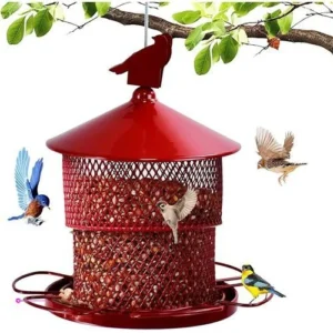 Outdoor Bird Feeders Code Ly392eer