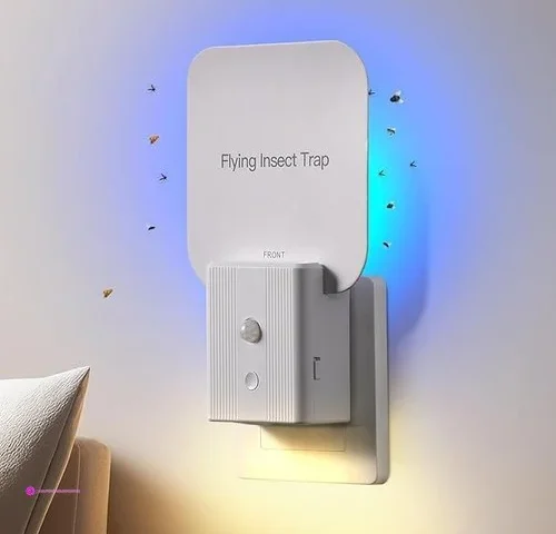 Fly Traps Promo Code Bomp67au