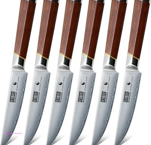 Hoshanho Steak Knives Clip Coupon
