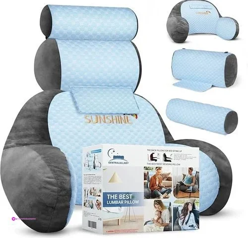 Reg The Adjustable Large Back Pillow