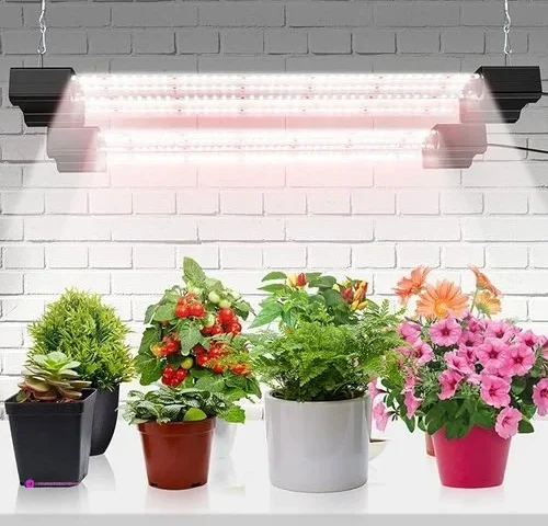 Grow Lights Clip Coupon