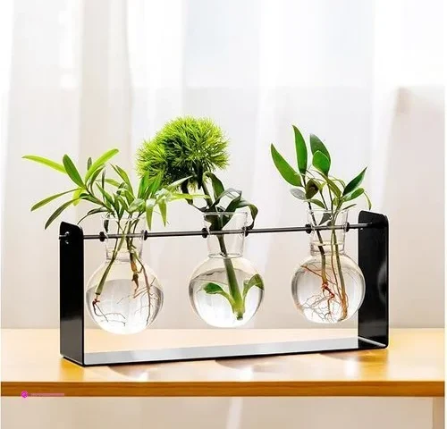 Mudeela Plant Propagation Stations Of…