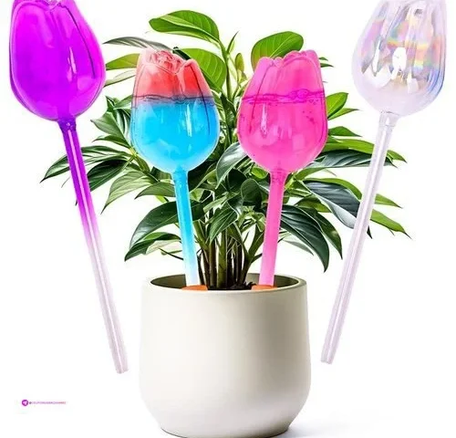 Qwbthnk Watering Globes Code Fnhhw7bl