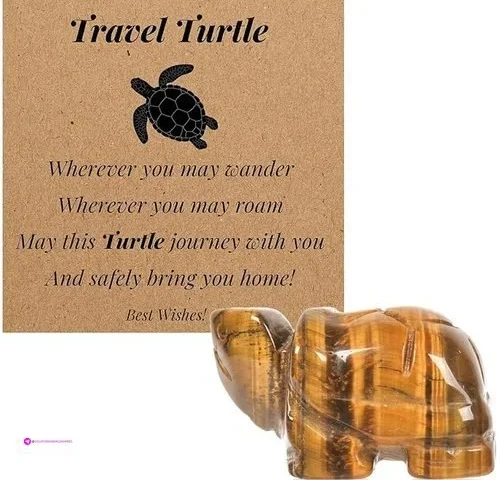 Pajh Travel Turtles Code Qoy3jwvy