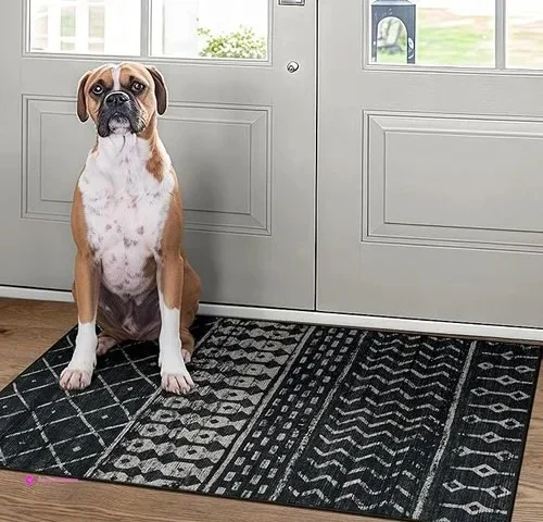 Geruimo Area Rugs Clip Coupon