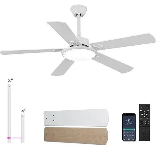 Rienaza Ceiling Fans Code Prqyusah