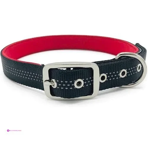 Pet Dreamland Dog Collars Code Pupper…