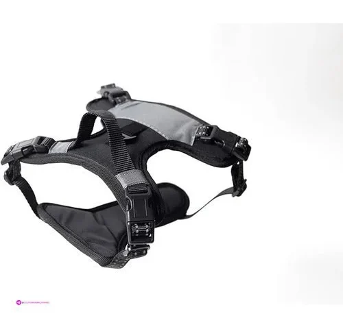 North Star Dog Harnesses Clip Coupon