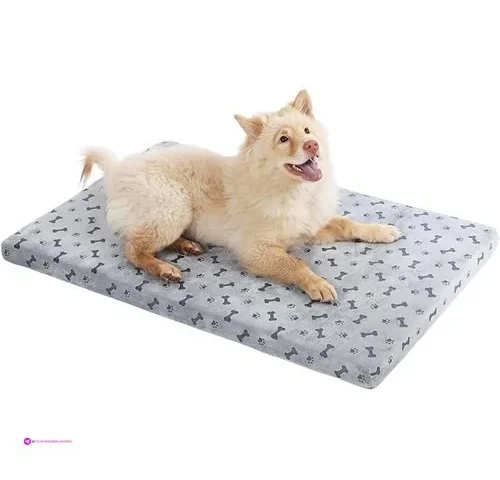 Fancy Dog Beds Clip Coupon