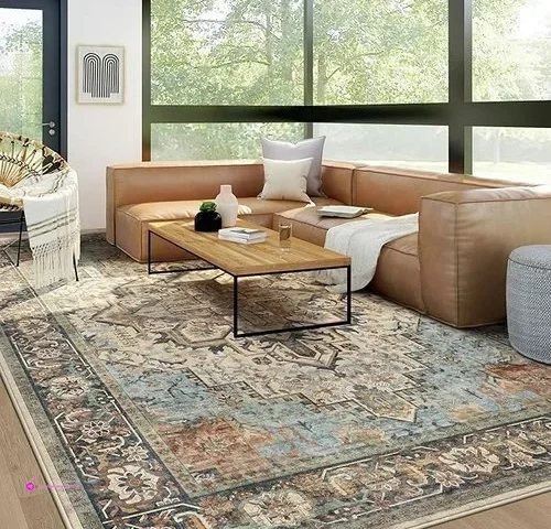 Geruimo Area Rugs Clip Coupon