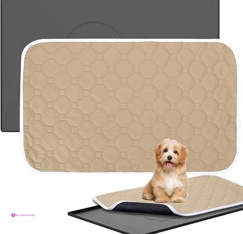 Pet Pee Pad Holders Code Ctlkiel4