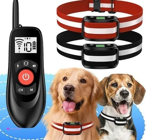 Wireless Dog Fences Off Clip Coupon