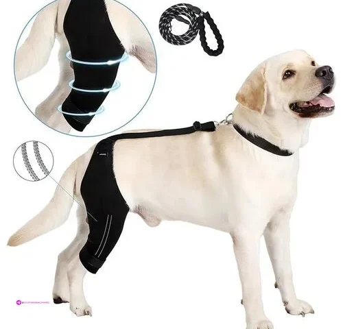 Noillow Dog Knee Braces Clip Coupon