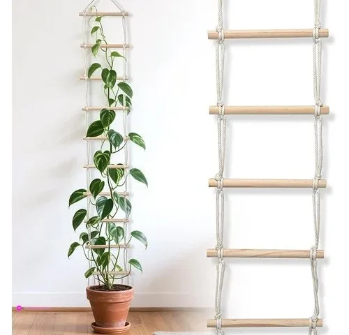 Climbing Plant Ladders Clip Coupon