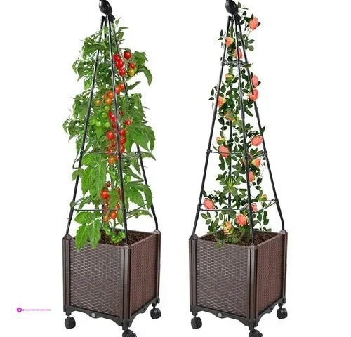 Mqhuayu Garden Planters Pack Promo Co…