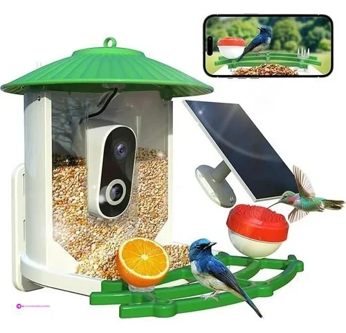 Skypix Bird Feeder With Camera 2k Hd Ai Smart Identify