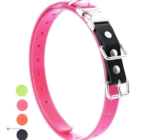 Quick Snap Bungee Dog Collar Strap With D Ring For