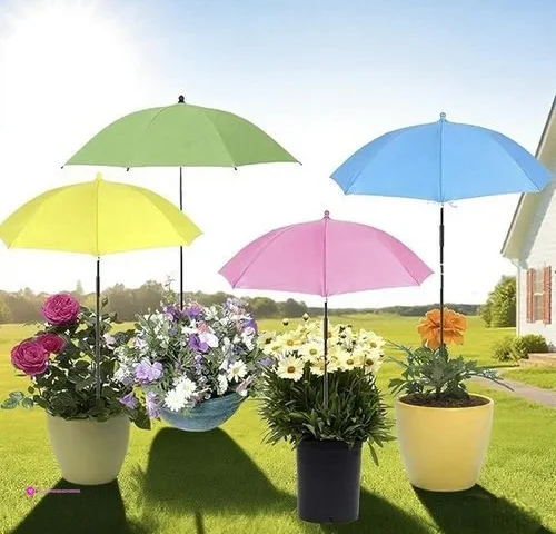 Botanist Natural Shampoo And Conditioner Set Hair Repair Shampoo And