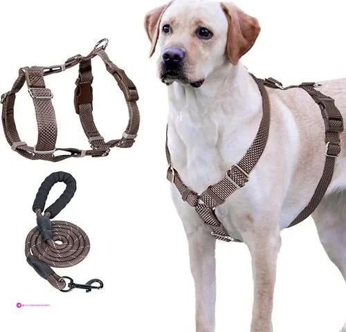 Wanheart Anti-pulling Dog Safety Vest Equipped With 2 Adjustable Waist