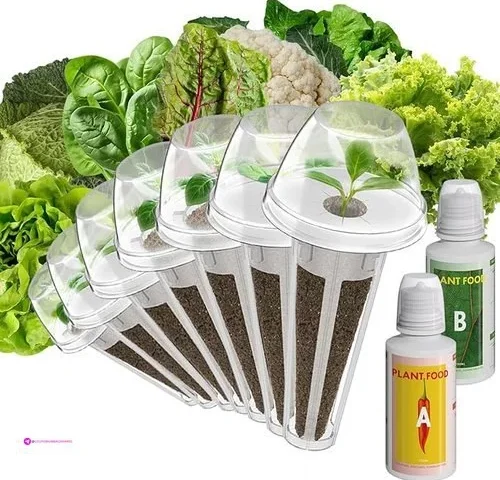 Inbloom Salad Green Seed Pod Kit For Hydroponics Growing System
