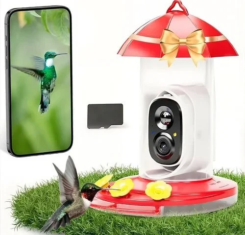 Hummingbird Feeder With Camera For Outdoors With 2k Bird Watching