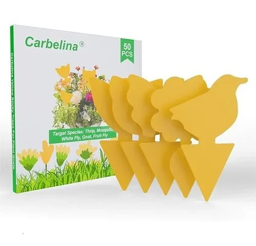 Carbelina Gnat Traps For House Indoor Plants Fruit Fly Traps