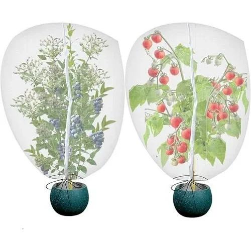 Gardtree 2 Pcs 3 X 3 9 Ft Bird Insect