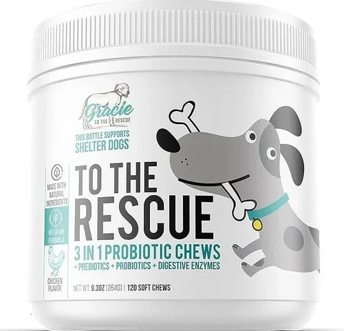 Probiotic Chews For Dogs Support Digestive Health Dog Probiotics And