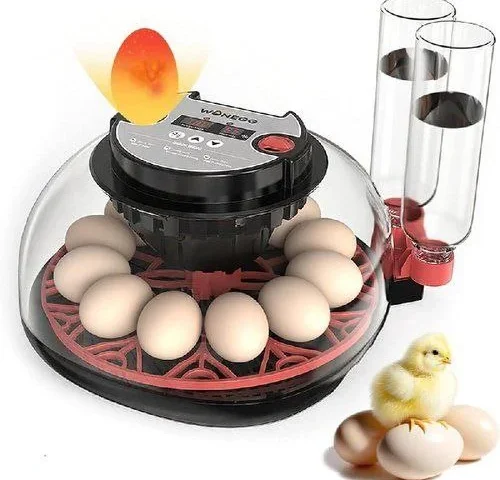 12 Egg Incubator For Hatching Eggs Automatic Turner With Digital