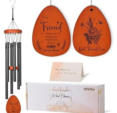 Apxaiy Best Friend Friendship Gifts For Women Mothers Day Friend