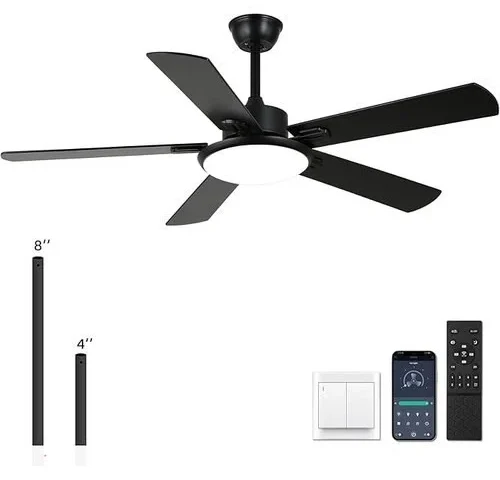 Rienaza Ceiling Fans With Lights 52 Inch Black Ceiling Fan